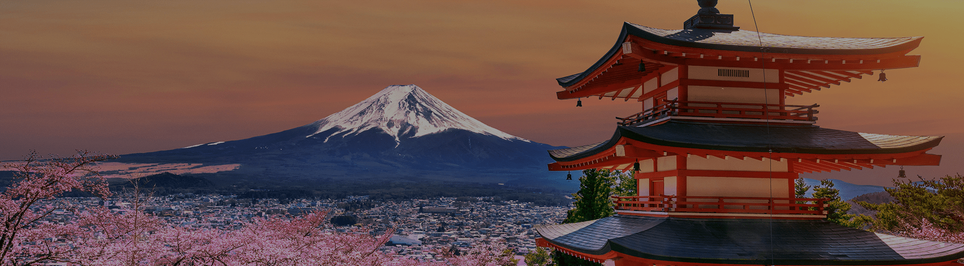 ds-japan-tokyo-min.png
