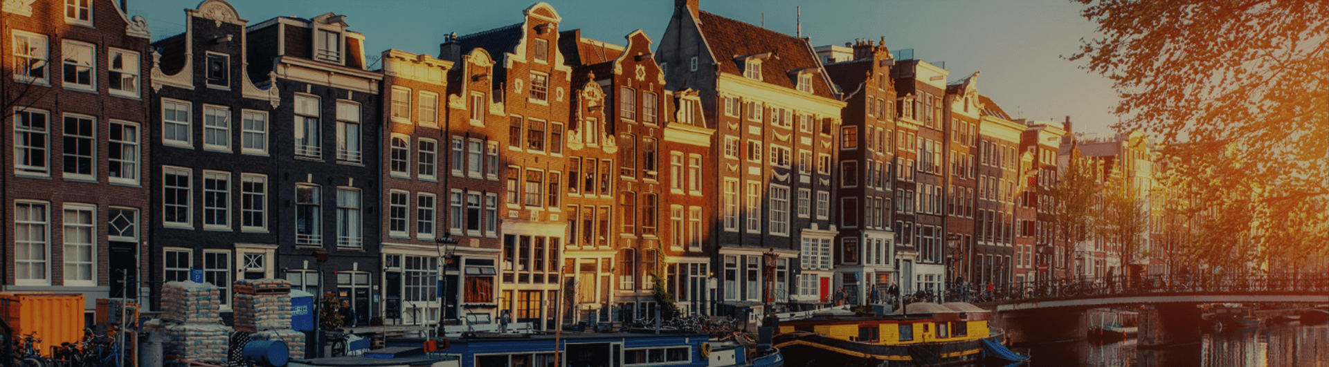 ds-NL-min.png