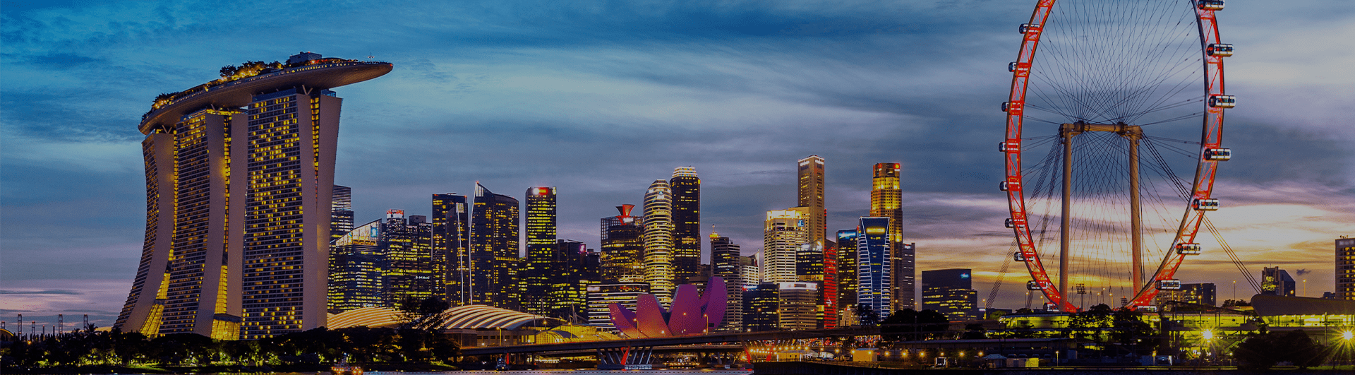 ds-singapore-min-dc.png